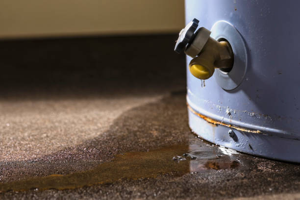 Best 24/7 water damage repair  in Waynesburg, PA