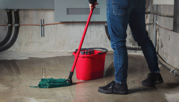 Best Local water damage restoration  in Waynesburg, PA
