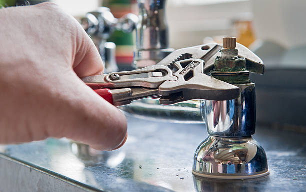Best Flooded house restoration  in Waynesburg, PA