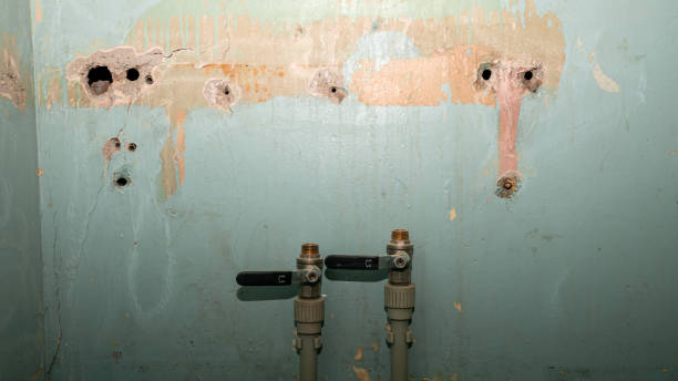 Best Fire Damage Restoration  in Waynesburg, PA