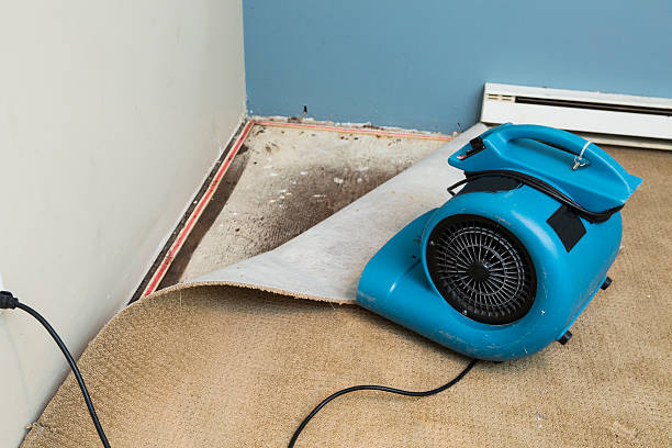Best Sewage cleanup and water damage restoration  in Waynesburg, PA